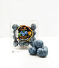 6oz Pack - SUPER JUMBO SIZE SWEET Crunchy Blueberry Pack SPECIAL!