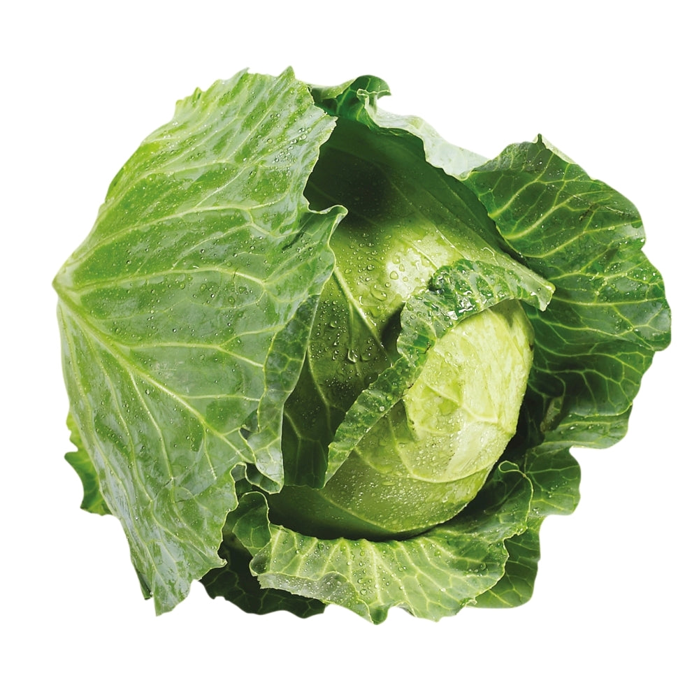 1 PC - Local ORGANIC Green Cabbage