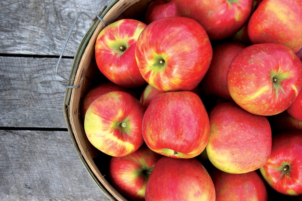 Honeycrisp Apples - 1/2 peck – FarmFreshXpress - Local Food to