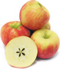 2lb Bag - JUMBO CRUNCHY Honey Crisp Apples SPECIAL! MUST TRY!