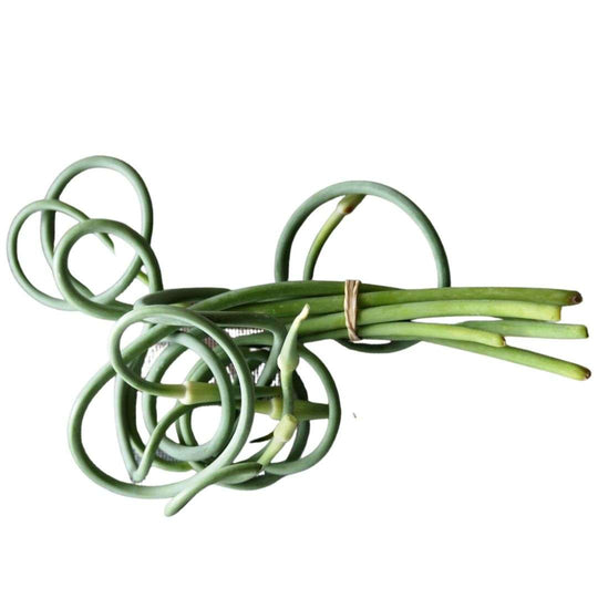 0.5lb Bag - ONTARIO Garlic Scapes SPECIAL!