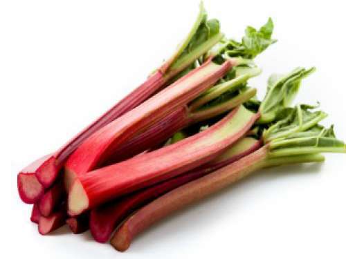 1lb Bag - Ontario Rhubarb First of the SEASON SPECIAL!