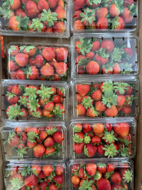10lbs - 8 Clamshells  - LOCAL FIELD Strawberry BOX CASE OF 10lbs SPECIAL!