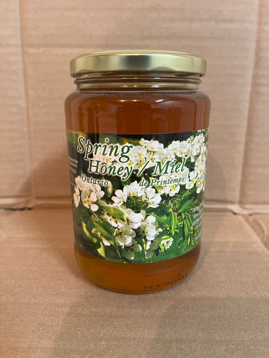 1 Kg - LOCAL Spring Honey MUST TRY SPECIAL!
