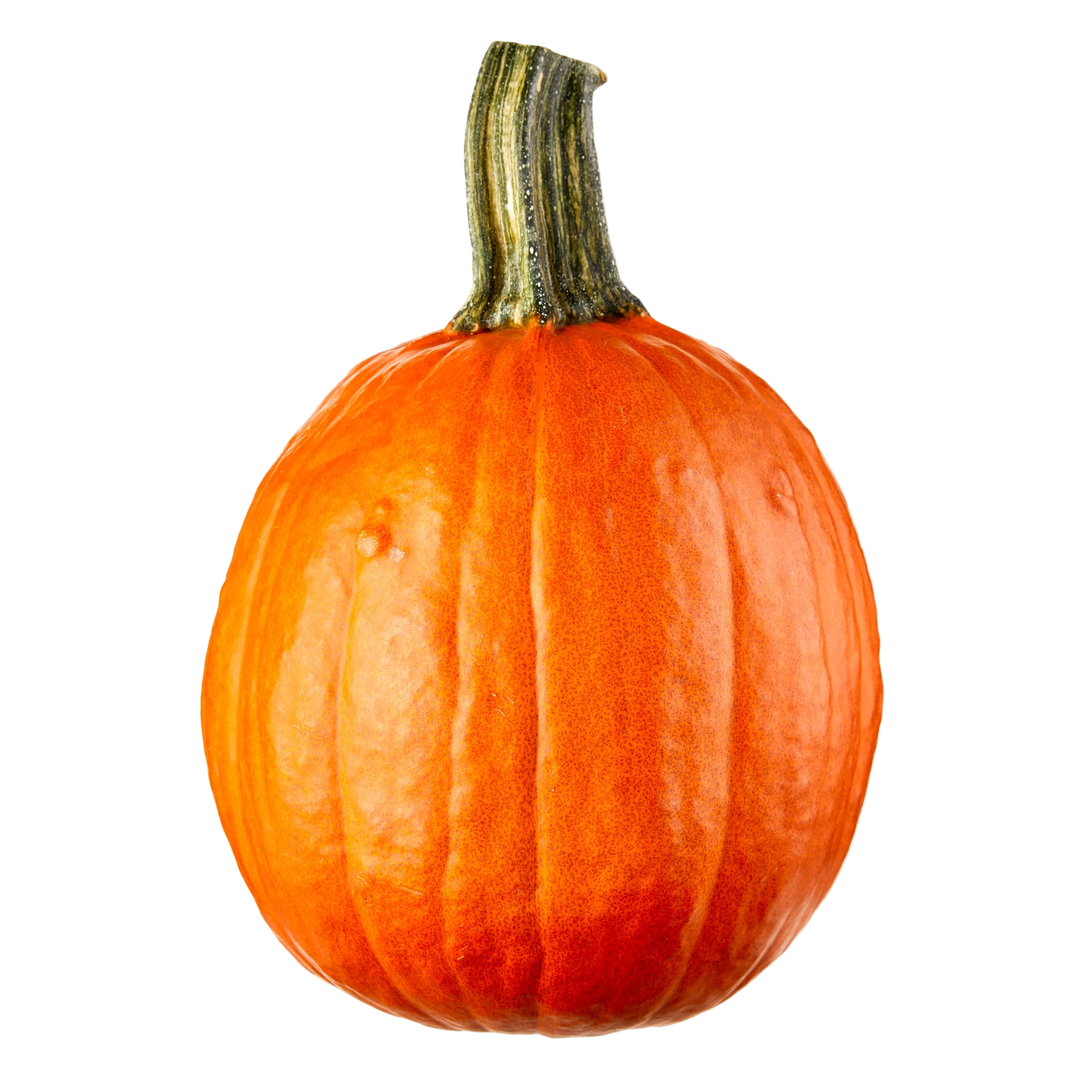 1 Whole - Pie Pumpkins SPECIAL! Perfect for Your Fall PIES!