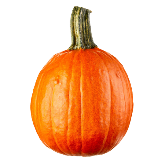 1 Whole - Pie Pumpkins SPECIAL! Perfect for Your Fall PIES!
