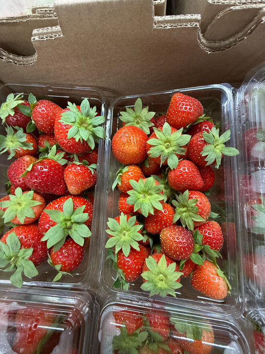 1lb Clamshell - Local FIELD Strawberries SPECIAL!