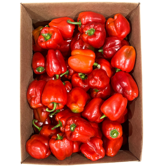 22lb Box - ONTARIO Red Bell Peppers SPECIAL!