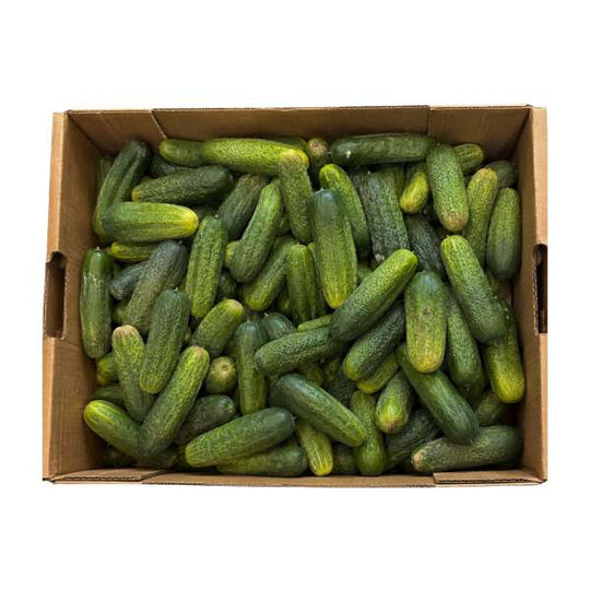 25lb Box - ONTARIO Pickling Cucumbers SPECIAL!