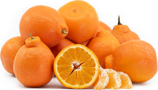 2lb Bag - SUPER Sweet Minneola ORANGES MUST TRY SPECIAL!