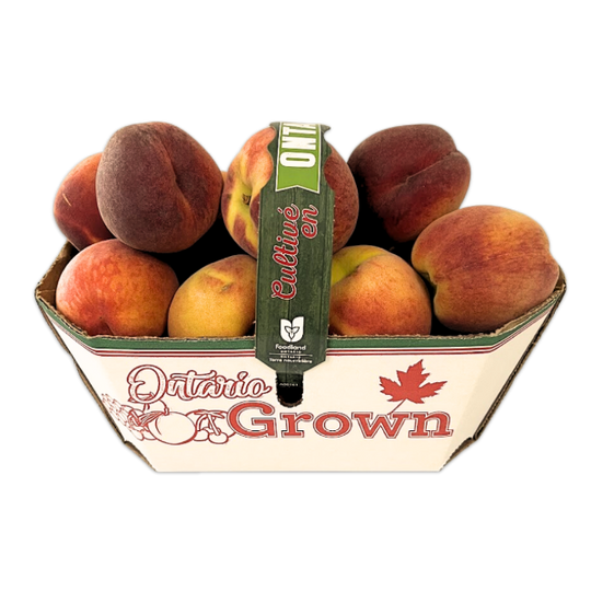 3L Basket - NIAGARA Sweet Peaches FIRST OF THE SEASON SPECIAL!