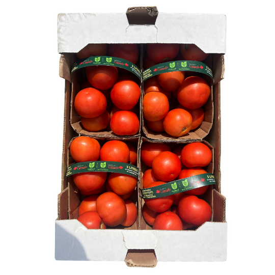 4 x 3L Case - ONTARIO Field Tomatoes SPECIAL!