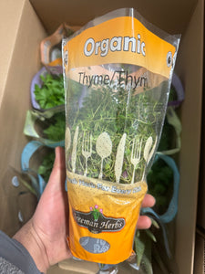 4.5 Inch - ORGANIC Fresh Living Thyme Herb SPECIAL!