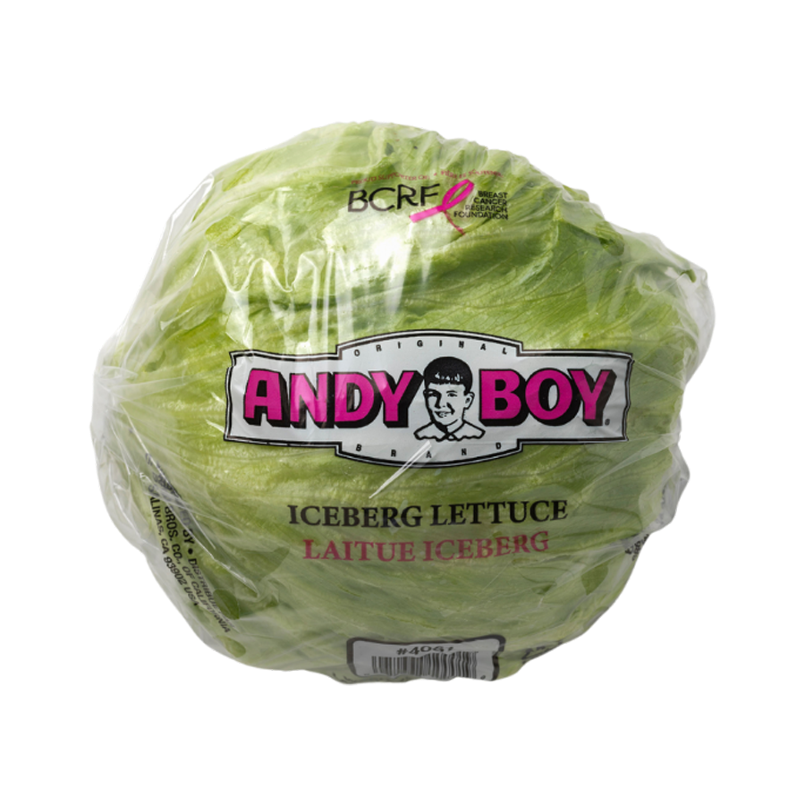 1 PC - New Crop Iceberg Head Lettuce SPECIAL!