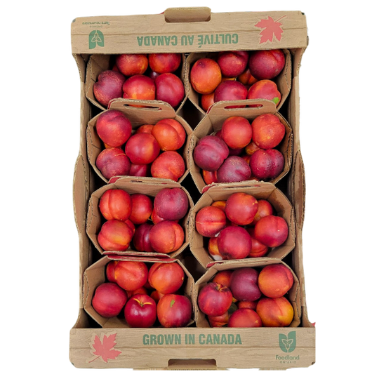8 x 2L Box - Niagara Sweet Nectarines SPECIAL!