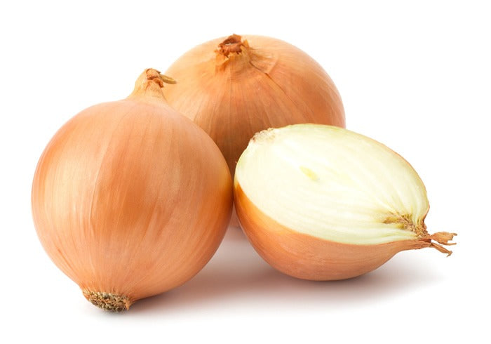 1 PC - LARGE Spanish Onion SPECIAL!