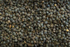 CEDAR French Green Lentils 2 lb