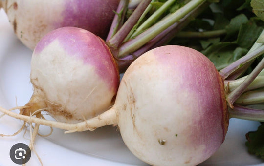 Turnips by lb