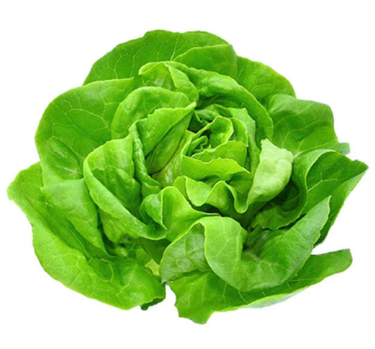 Boston Lettuce by Piece