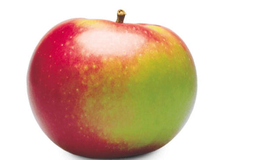 McIntosh Apple by lb