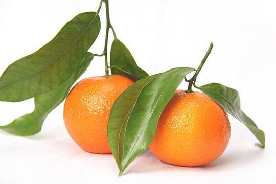Steam and Leaf Clementine by lb