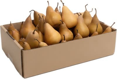 Bosc Pear Box
