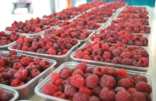 Raspberry Box