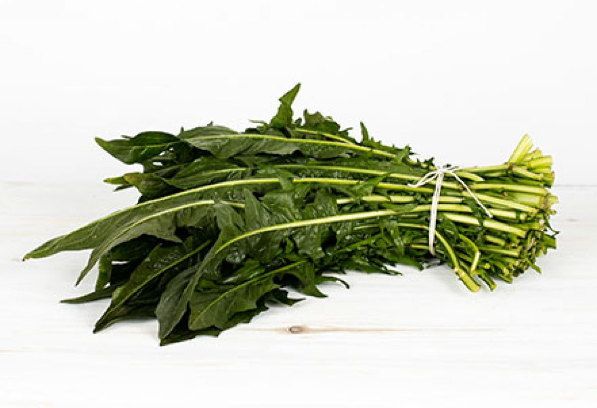 Local Fresh Dandelion Bunch