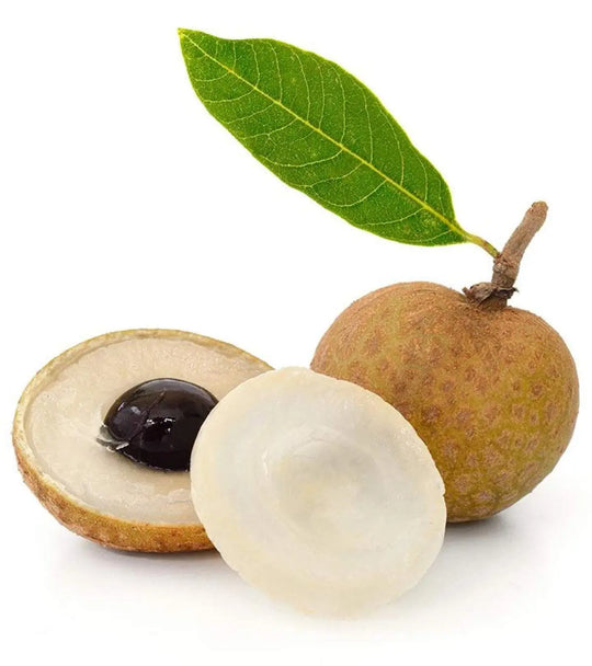 18 Count - SUPER Sweet LONGAN Berry SIMILAR To a Lychee SPECIAL!