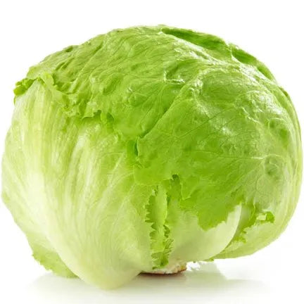 1 PC - New Crop Iceberg Head Lettuce SPECIAL!