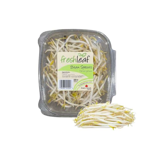 1lb Bag  - ONTARIO Grown BeanSprouts SPECIAL!