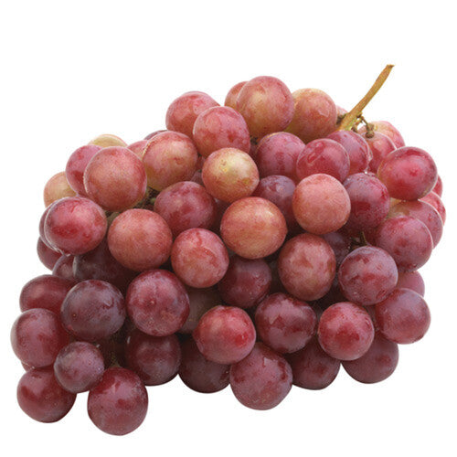 1.5 - 2lb Bag - SWEET Red Globe Grapes SPECIAL!