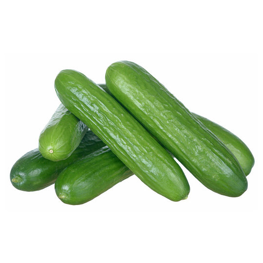 1.5lb Bag - ONTARIO Mini Cucumbers FREE PROMO SPECIAL!