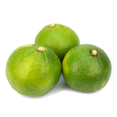 5 PACK - Fresh IMPERFECT Limes BACK TO SCHOOL FREE PROMO!
