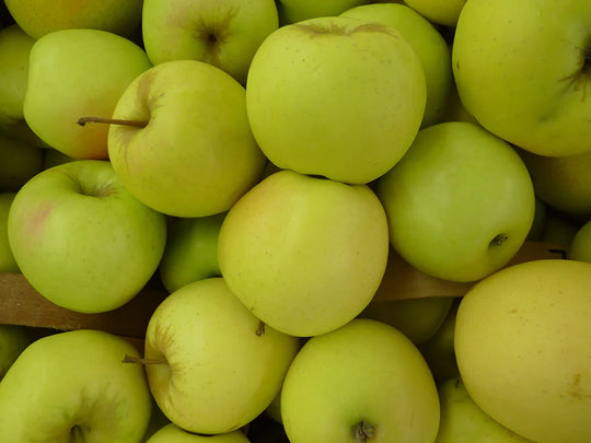 2lb Bag - ONTARIO SWEET Ginger GOLD Delicious Apples SPECIAL!