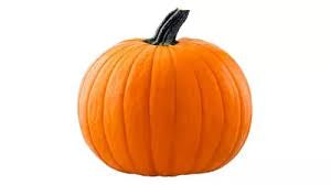 1 Whole - Pie Pumpkin SPECIAL!