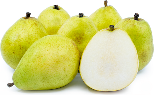 2lb Bag - LARGE Anjou Pears So SWEET SPECIAL!