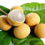20 Pack - SWEET Longan Berry SIMILAR TO A LYCHEE SPECIAL!