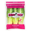 Fresh Romaine Hearts 3-pack Bag SPECIAL!
