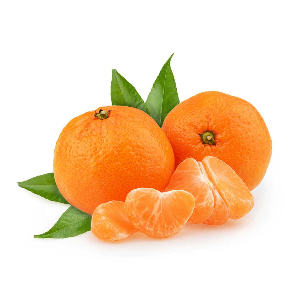 2lb Bag-  LARGE Super Sweet Clementines SPECIAL! MUST TRY!