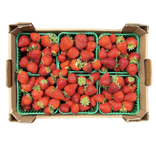 6 x 1 Quart - ONTARIO Field Strawberries Flat SPECIAL!