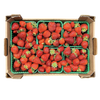 6 x 1 Quart - ONTARIO Field Strawberries Flat SPECIAL!