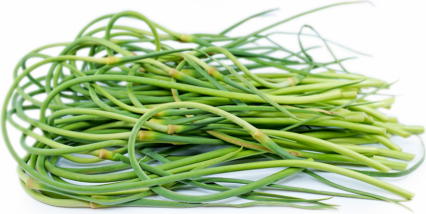 1lb Bag - ONTARIO Fresh Garlic Scapes SPECIAL!