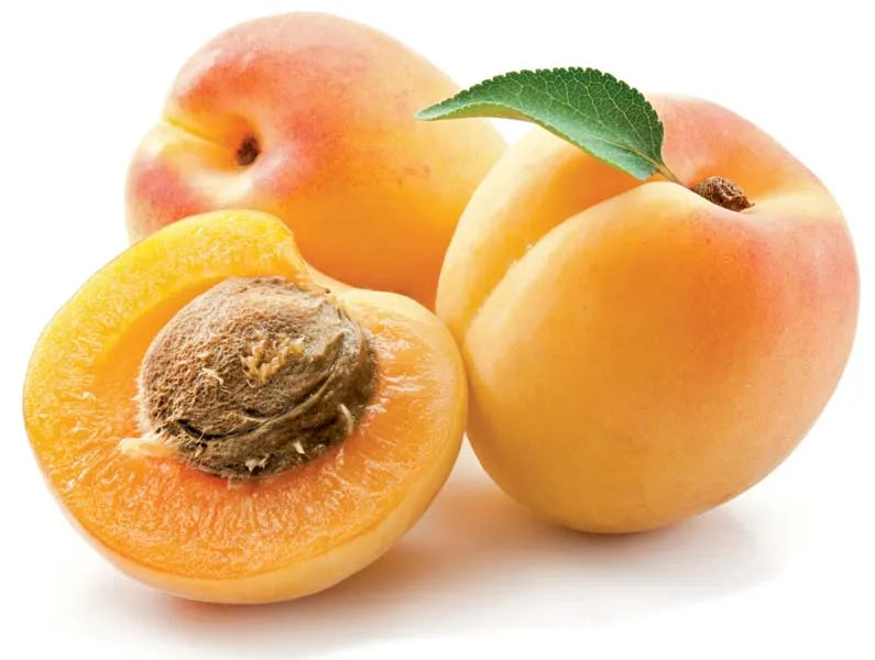 1lb Bag - SWEET California Apricots SPECIAL!