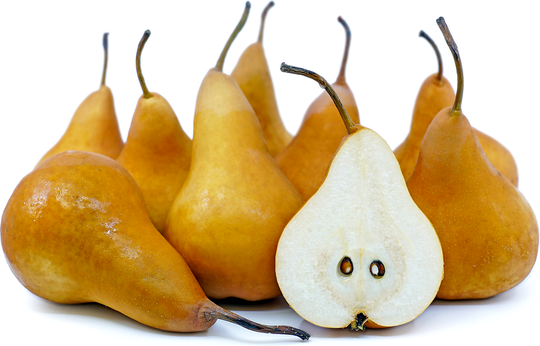 2lb Bag - ONTARIO Sweet Bosc Pears SPECIAL!