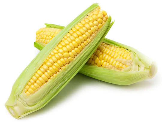 2 Pack - New Crop Super Sweet Corn on the Cob SPECIAL!