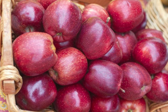 Red Delicious Apple by lb