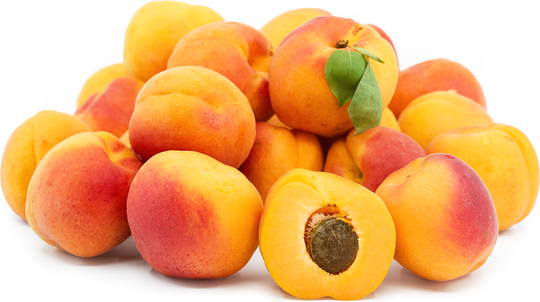 1lb Bag - Premium Fresh Apricots FIRST OF THE SEASON SPECIAL!