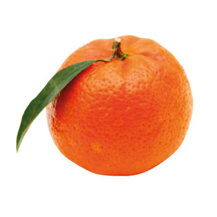 Mandarin by lb