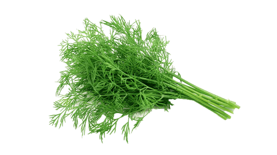 Dill Bunch
